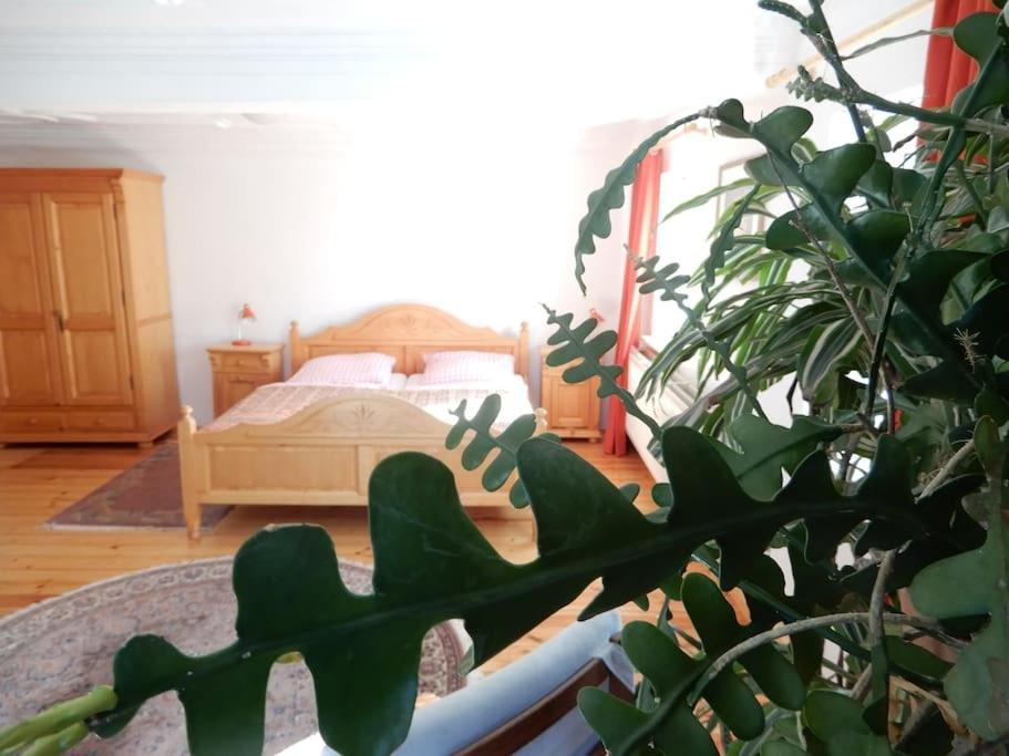 Laendliches Wohnen Zwischen Erfurt Und Gotha Apartment Екстериор снимка